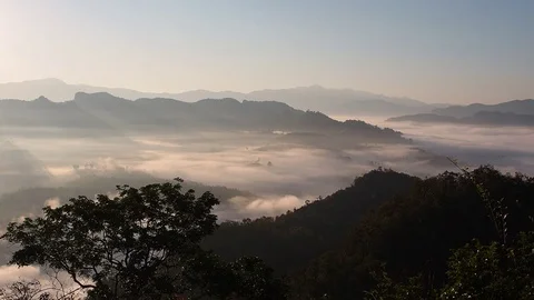 Fog in morning Video stock 102499716