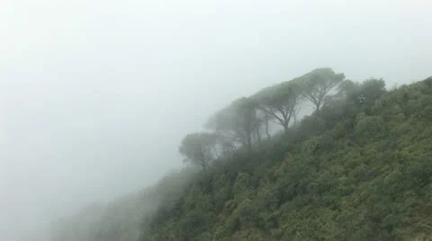 Fog in the mountain Stock Footage 12483777