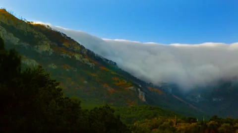 Fog on the mountain Stock Footage 55346674