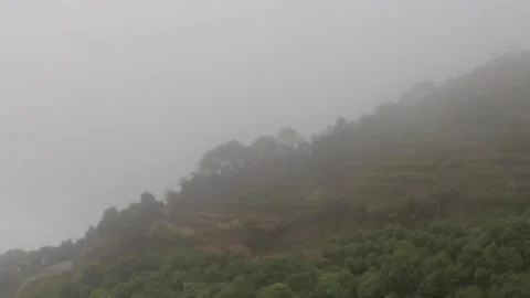 Fog on the mountain Video stock 235134199