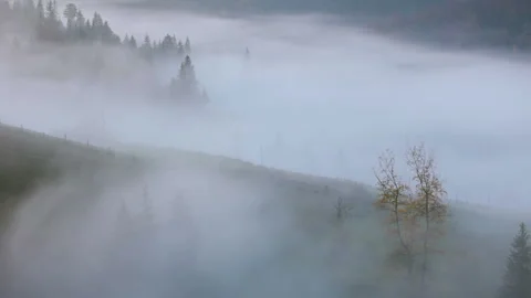 Fog on the Mountain Pasture 動画素材 106456994