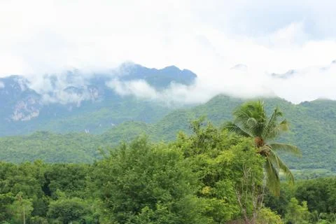 Fog on the mountain. Foto stock