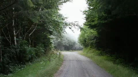 Fog on a Mountain Road Video stock 12364961
