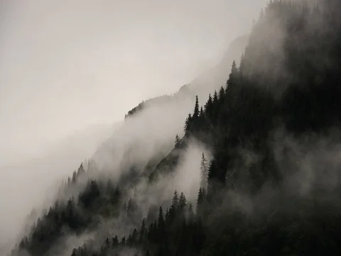 Fog on mountain top Stock Footage 80896442