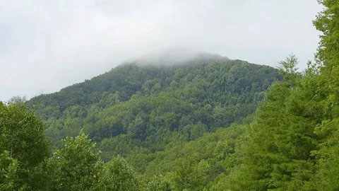 Fog on Mountain Top Stock Footage 102868474