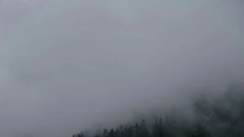 Fog on mountain top with wind blowing on tree Stock Footage 80896434