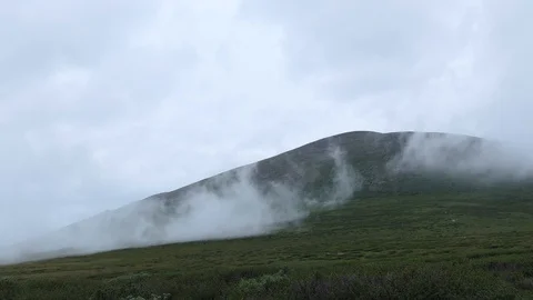 Fog in the mountain tundra Vídeos de archivo 116552675