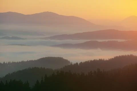 Fog in the mountain valley Stock Photos