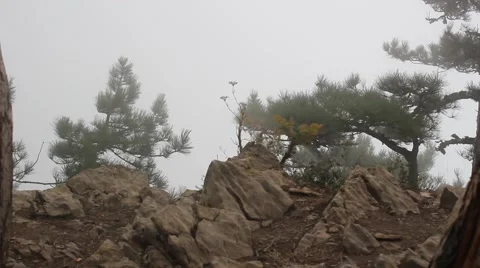 Fog in mountains 3 스톡 동영상 44149889