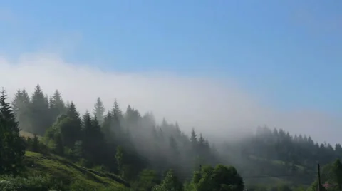 Fog in the mountains at dawn Stock Footage 42771574
