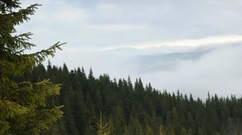 Fog in mountains Stock Footage 11412648