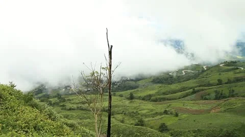 Fog in the mountains Video stock 11424621
