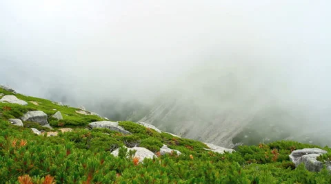 Fog in the mountains. Stock Footage 27428118