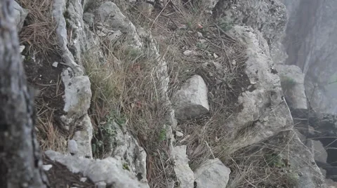 Fog in mountains 스톡 동영상 44149850