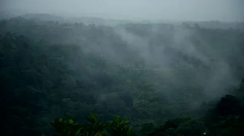 Fog in the mountains Stock-Footage 45274340