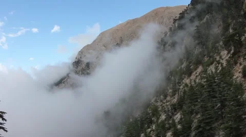Fog in the mountains Video stock 63510909