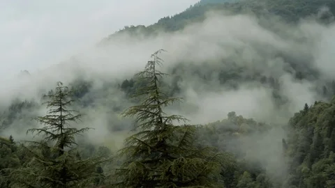 Fog in the Mountains Stock Footage 79010174