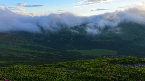 Fog on mountains Stock Footage 81801098