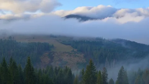 Fog on mountains Stock Footage 81801140