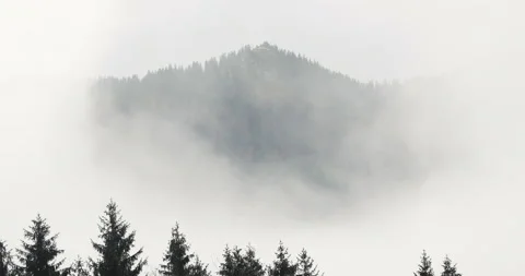 Fog in the mountains Vídeos de archivo 101543619