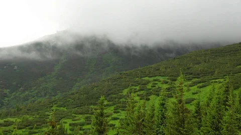 Fog in the mountains Stock Footage 111909789