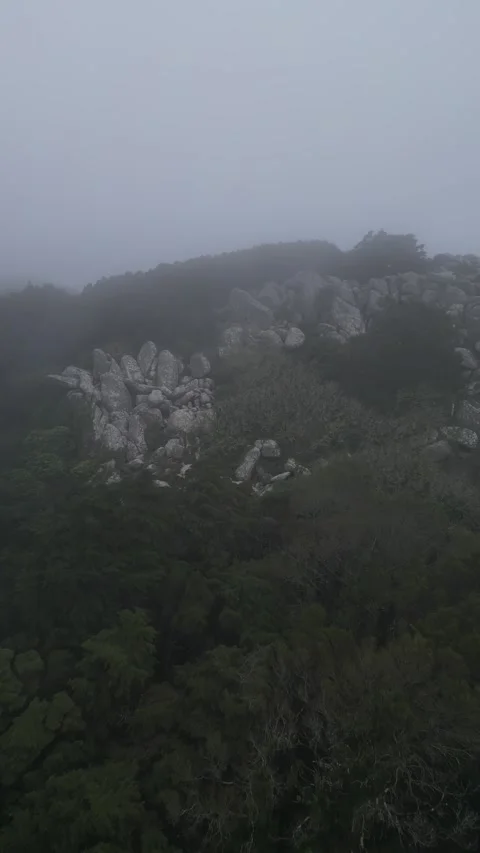 Fog in the mountains Stock Footage 299130184