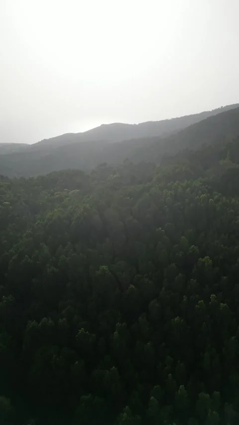 Fog in the mountains Stock Footage 299131904