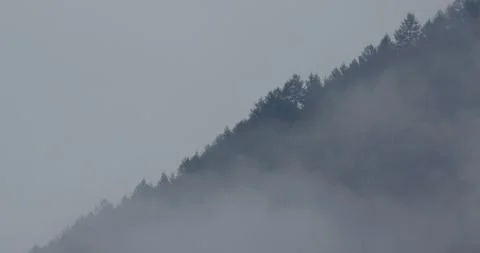 Fog in the mountains Stock Footage 305790893