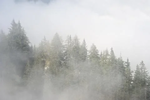 Fog in the mountains Stock Photos