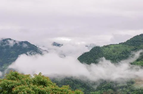 Fog in mountains Stock Photos