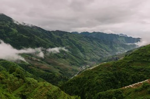Fog in mountains Stock Photos