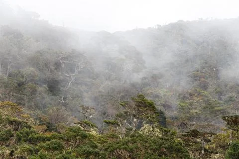 Fog in the mountains Stock Photos