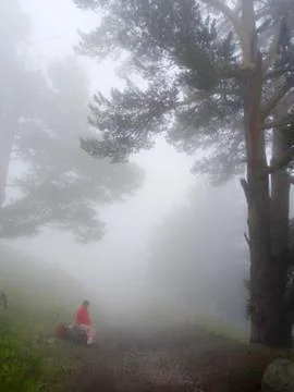 Fog in the mountains Foto stock