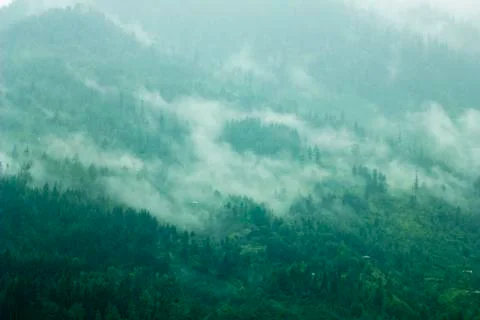 Fog in the mountains Stock Photos