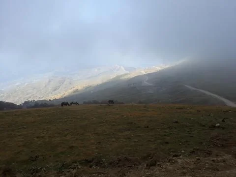 Fog in the mountains Stock Photos