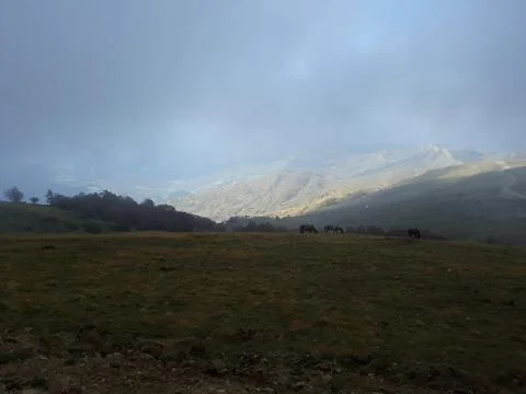 Fog in the mountains Foto stock
