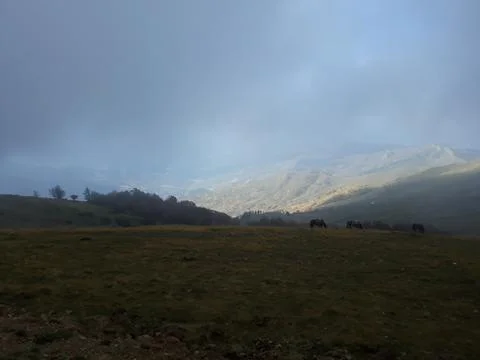 Fog in the mountains Stock Photos