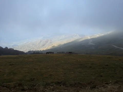 Fog in the mountains Stock Photos