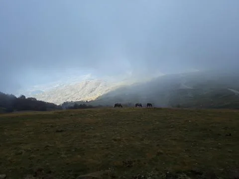 Fog in the mountains Stock Photos