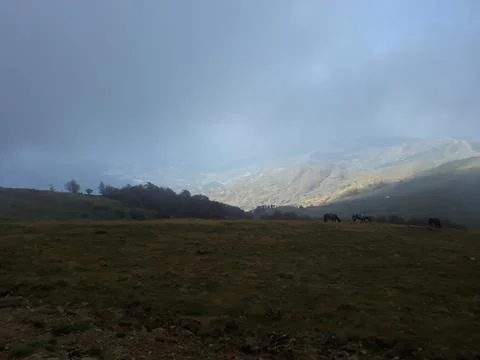 Fog in the mountains Stock Photos
