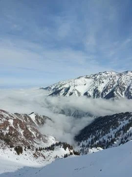 Fog on the mountains Stock Photos