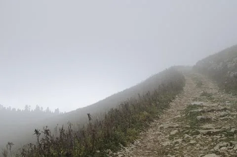 Fog in mountains. Stock Photos