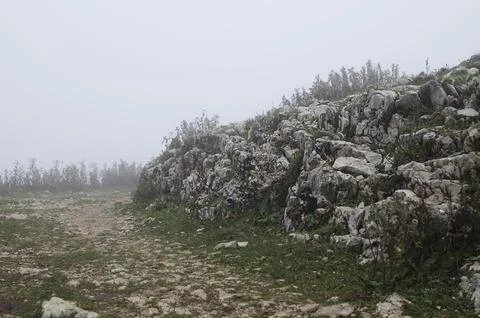 Fog in mountains. Stock Photos