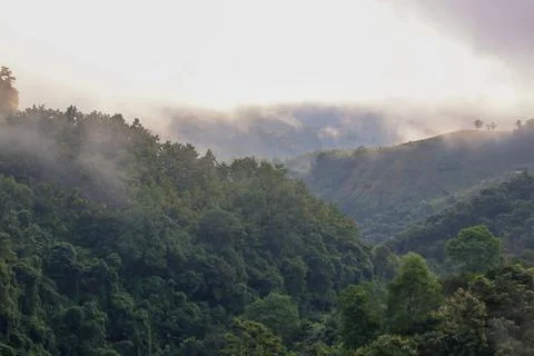 Fog in the mountains. Stock Photos