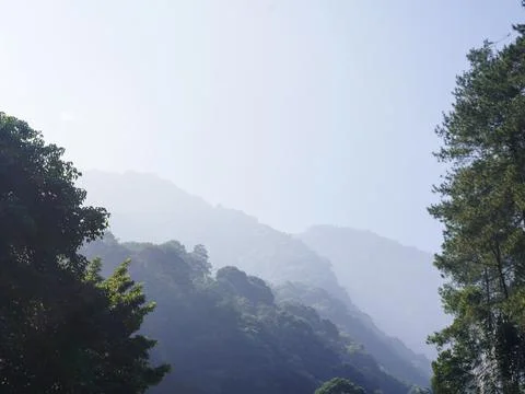 Fog in the mountains Stock Photos