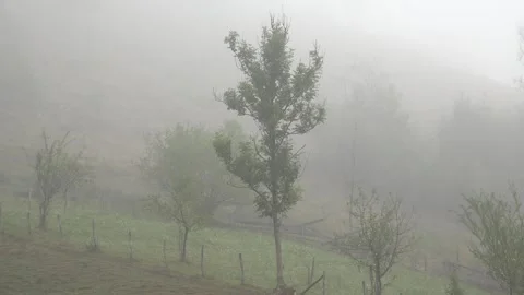Fog in Mountains, Raining in Forest, Smoke, Mystical View, Foggy in Alpines Stock Footage 345154838