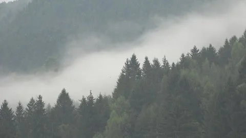 Fog in Mountains, Raining in Forest, Smoke, Mystical View, Foggy in Alpines Stock Footage 345155026