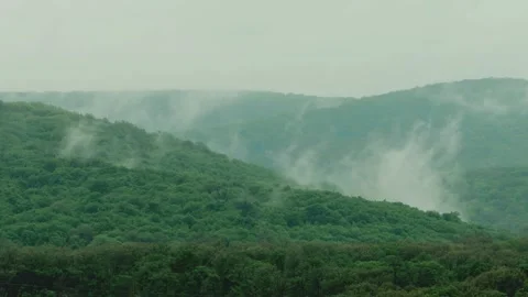 Fog in the mountains rises up in the form of steam, forming clouds. The water cy Stock Footage 241084386