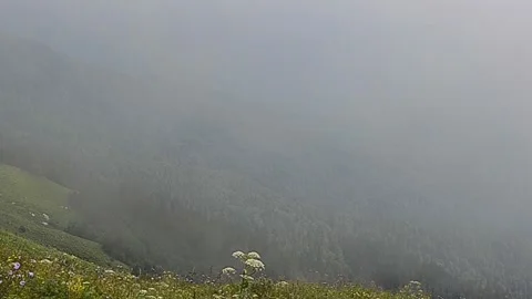 Fog in the mountains rises in the mountains Stock Footage 246643819
