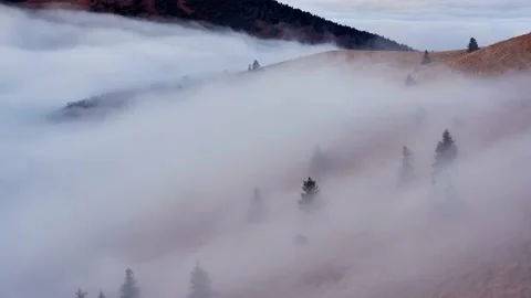 The fog in the mountains spills over the trees Stock Footage 165601547